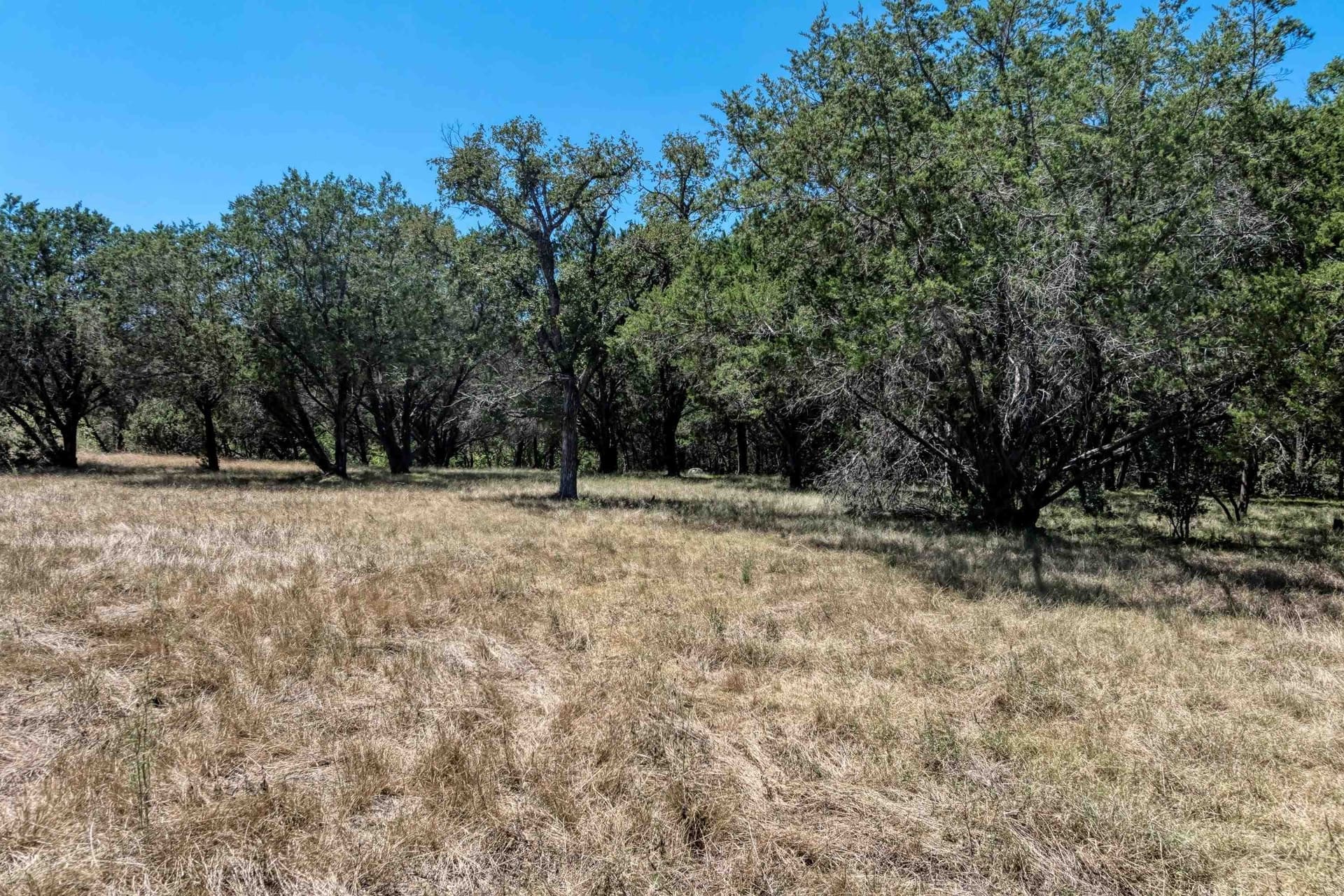 0.65 acres in Llano County - photo 6