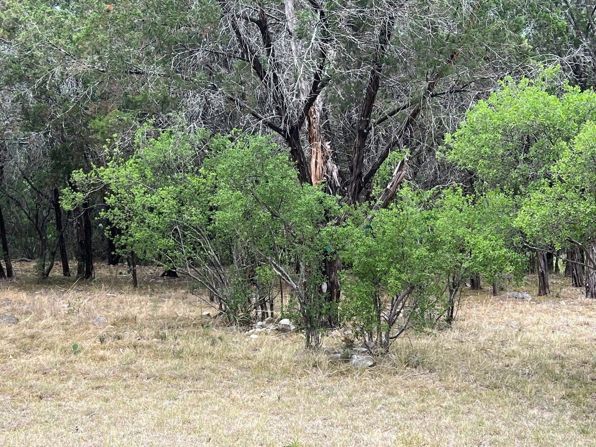 0.65 acres in Llano County - photo 2