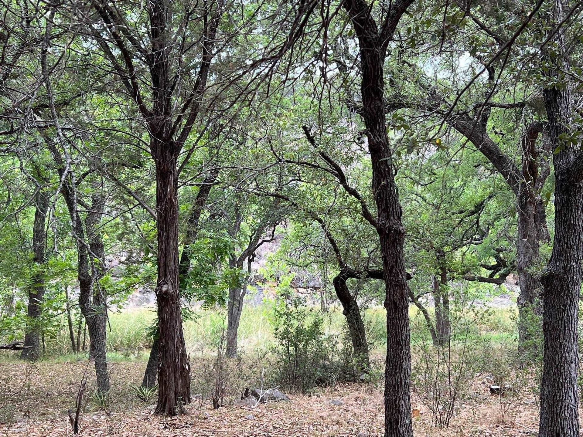 0.65 acres in Llano County
