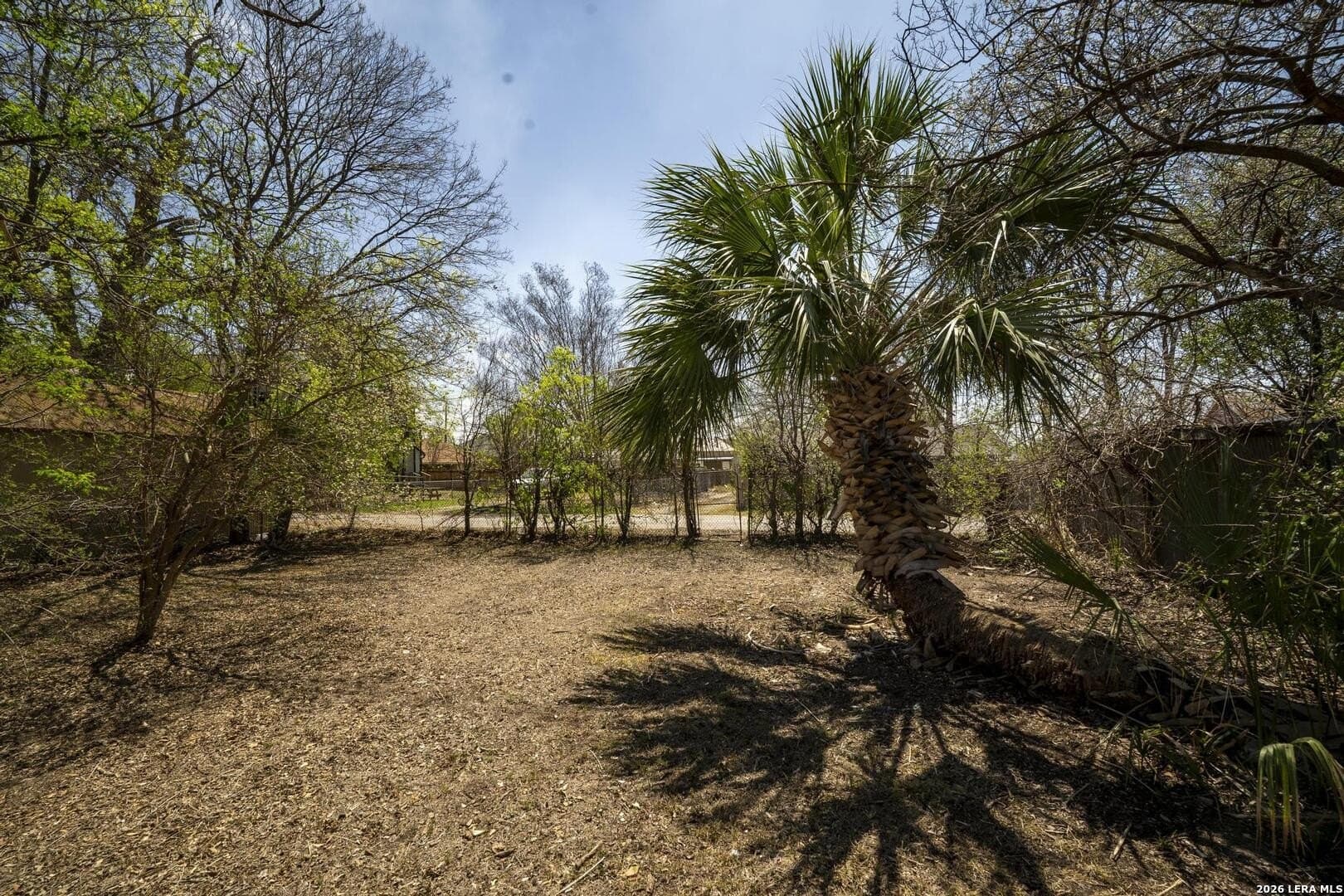 0.24 acres in Bexar County - photo 24