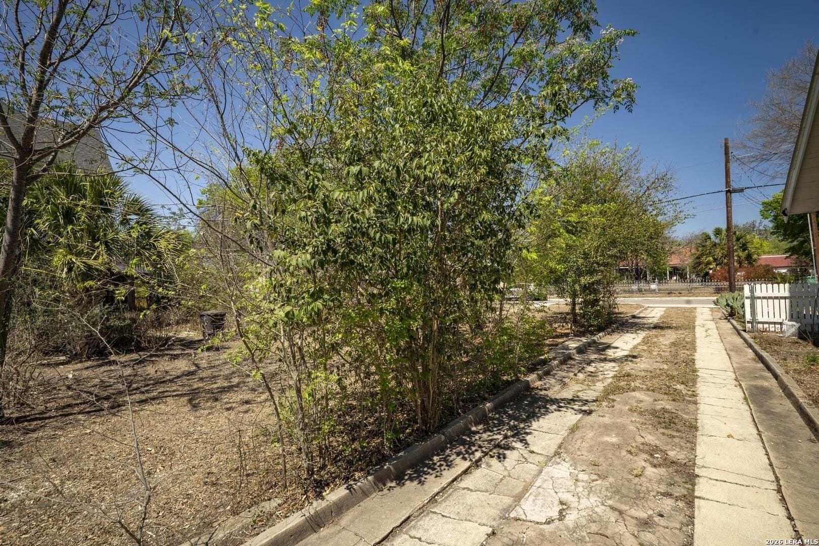 0.24 acres in Bexar County - photo 18