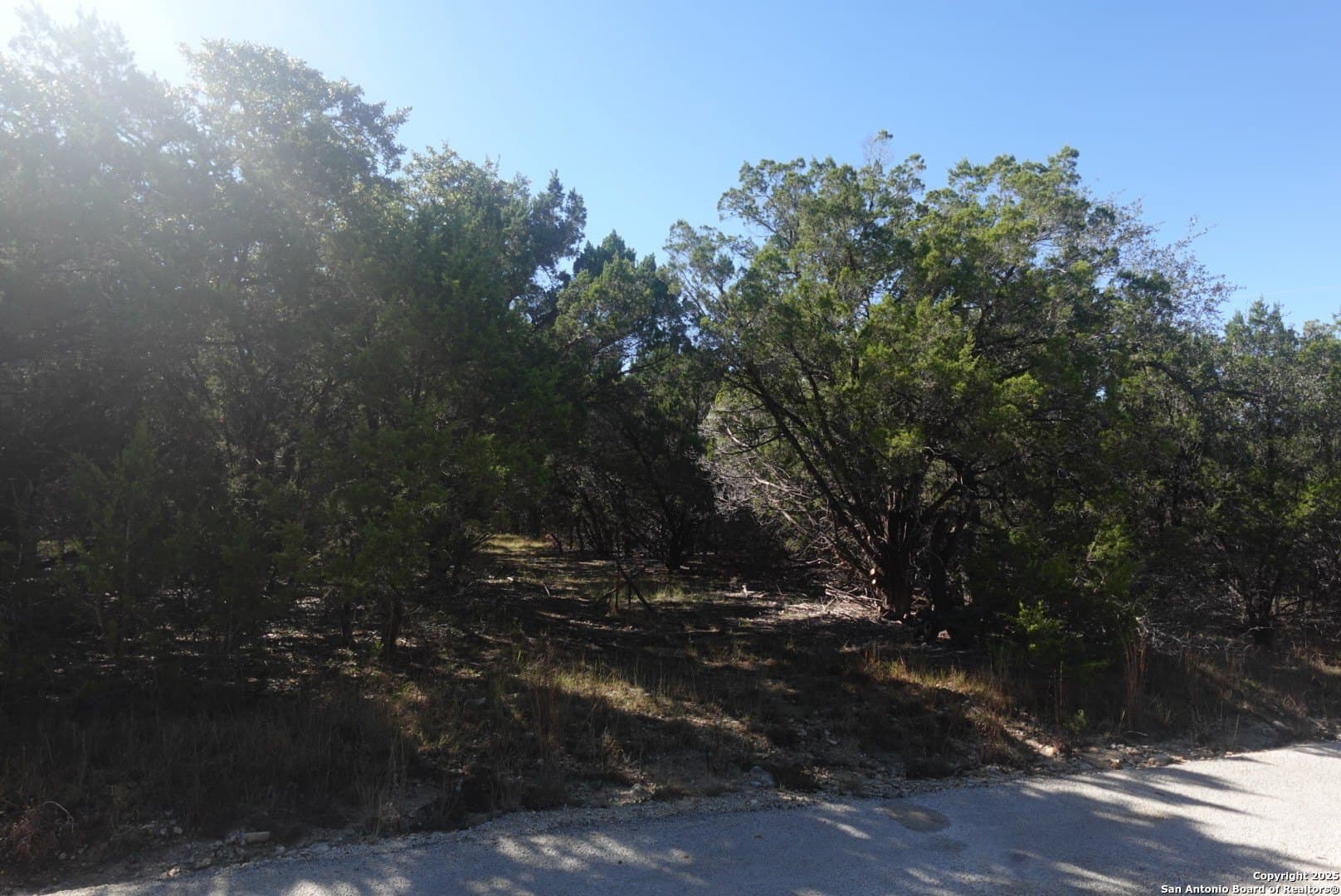 3.46 acres in Hays County gallery image 3