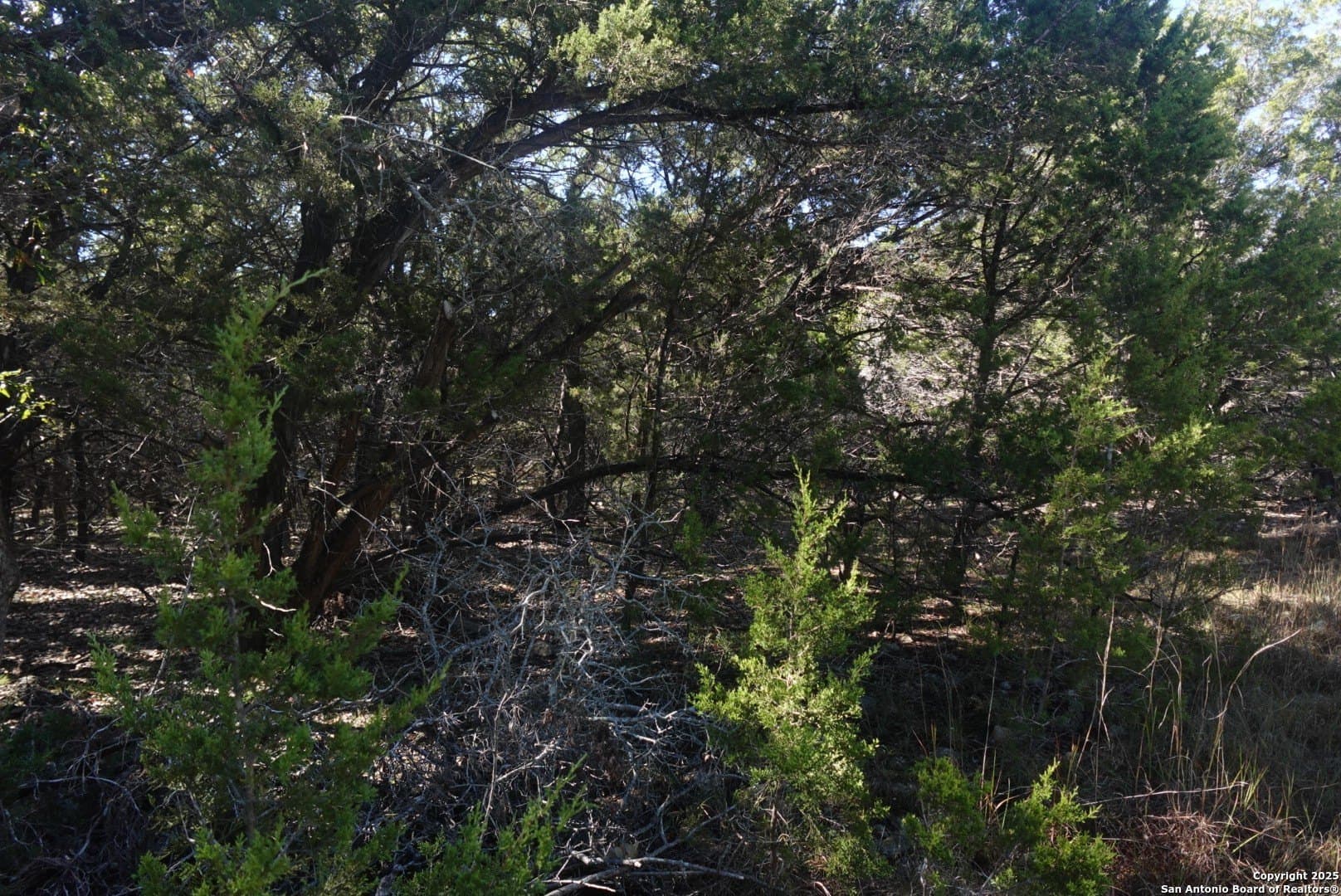 3.46 acres in Hays County featured view