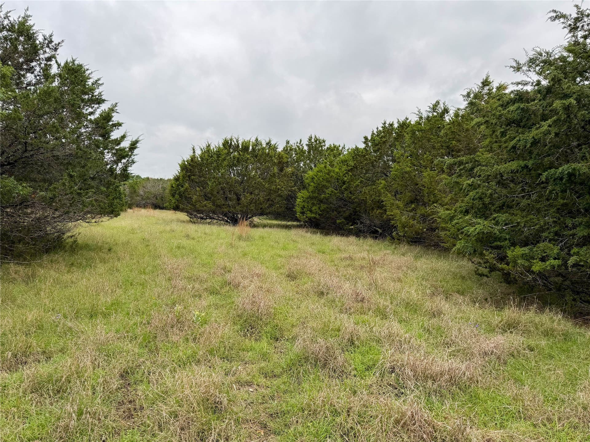 11.8 acres in Coryell County - photo 9