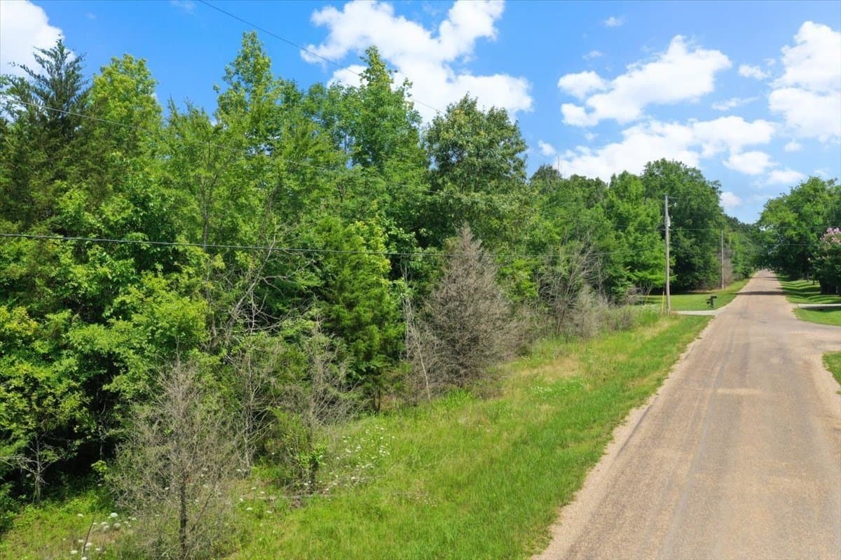 2.41 acres in Titus County - photo 7