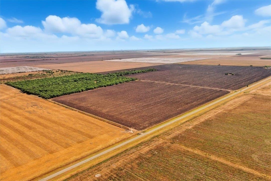 142 acres in San Patricio County gallery image 4