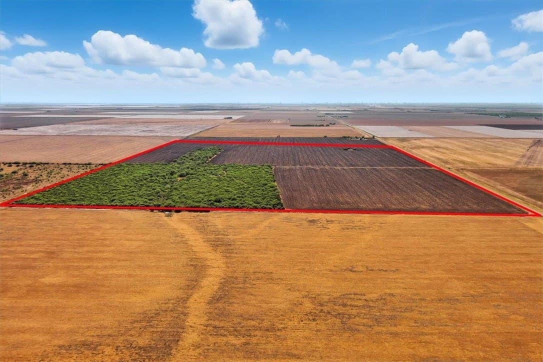 142 acres in San Patricio County gallery image 2