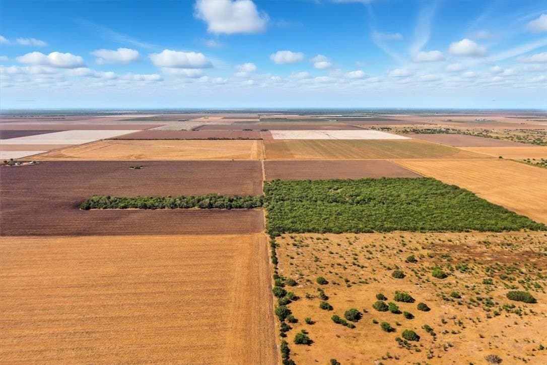 142 acres in San Patricio County gallery image 3