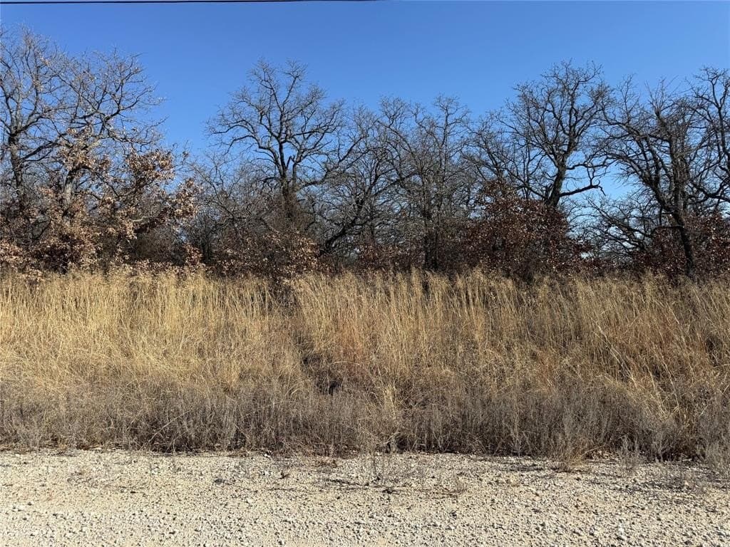 0.26 acres in Montague County gallery image 2