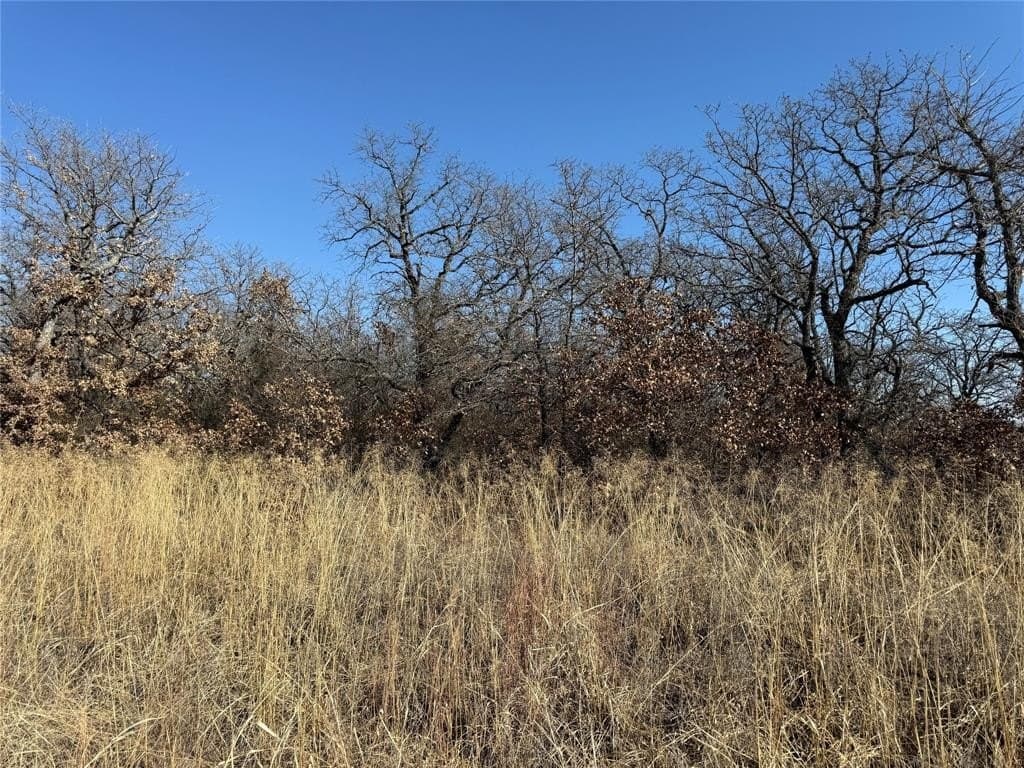 0.26 acres in Montague County gallery image 3