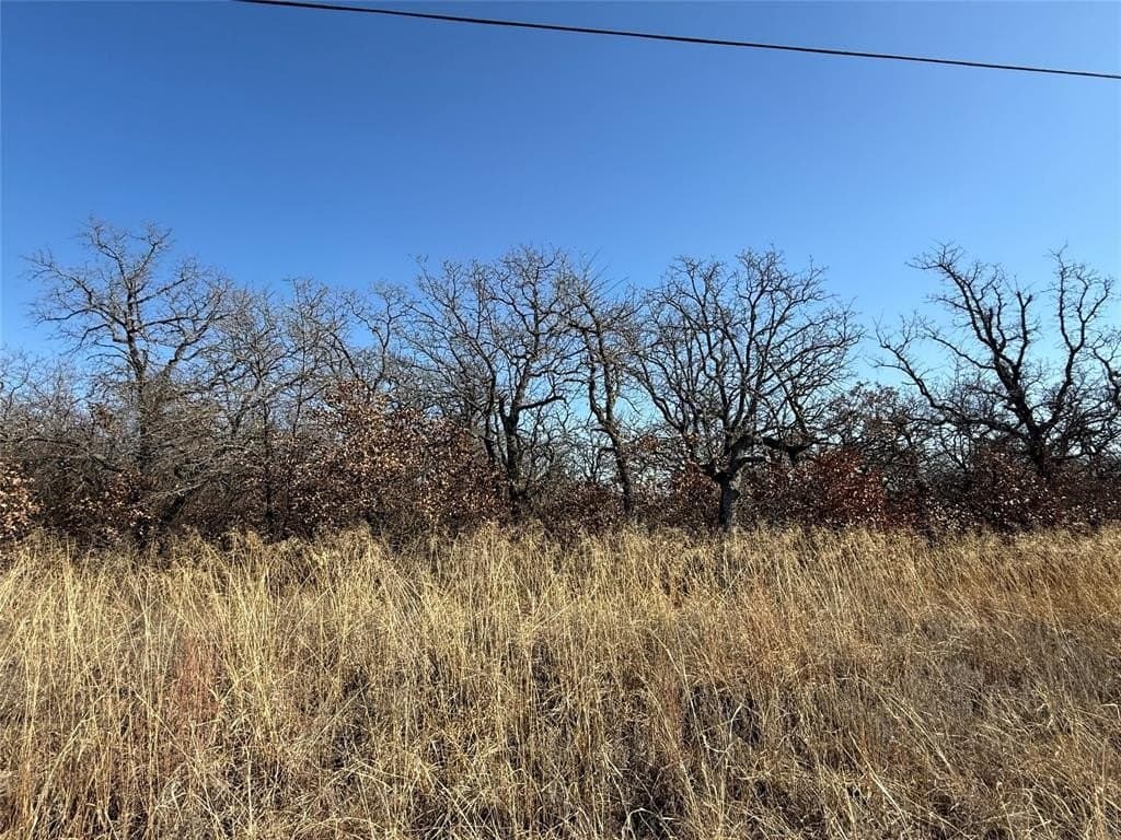 0.26 acres in Montague County gallery image 4