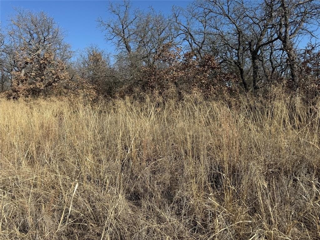 0.26 acres in Montague County featured view