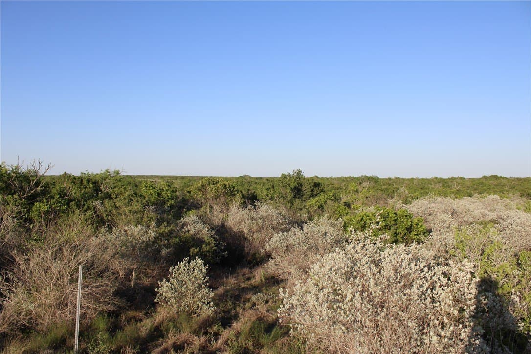 28.57 acres in Duval County gallery image 4