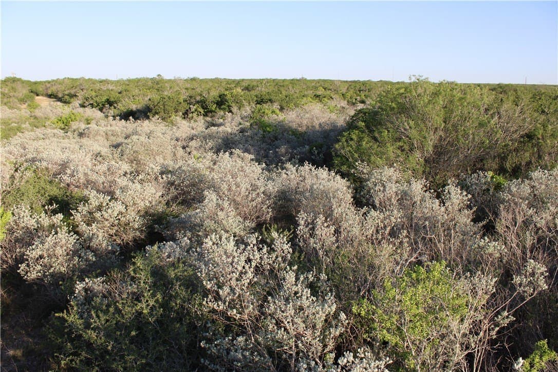 28.57 acres in Duval County gallery image 3