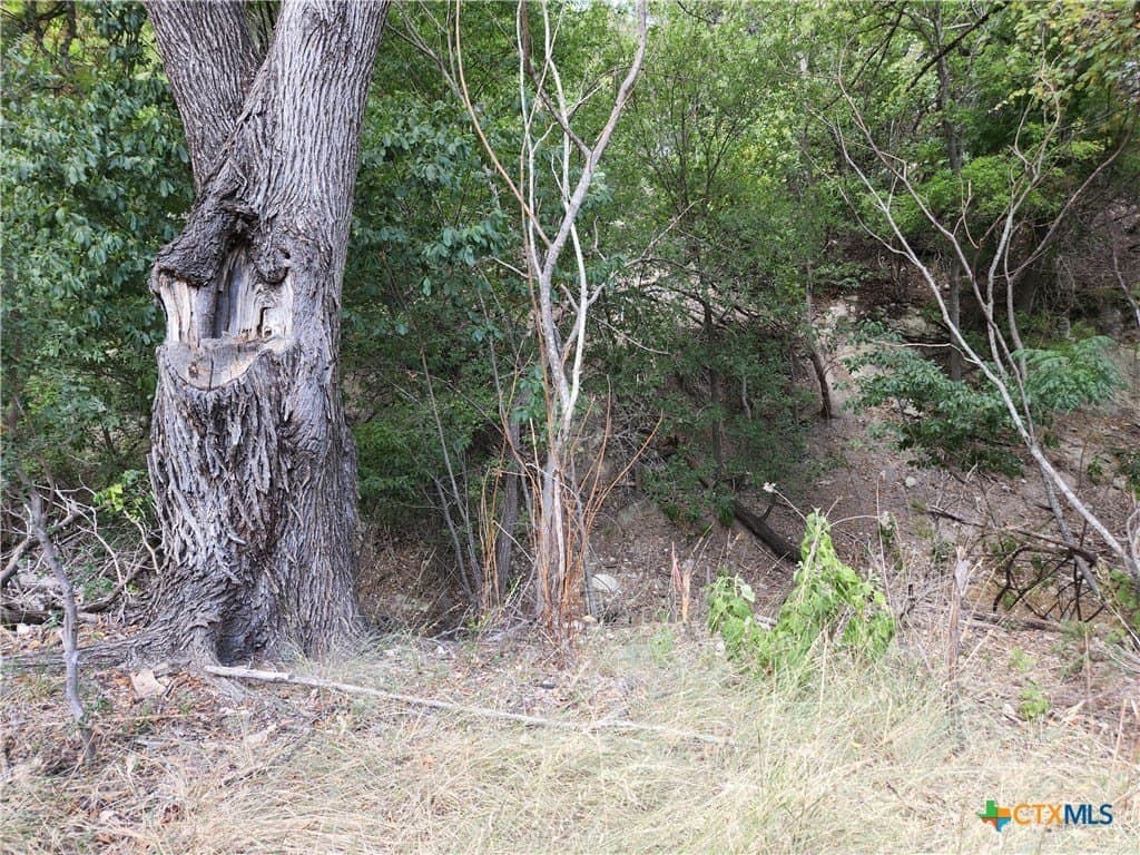 0.38 acres in Bell County - photo 3