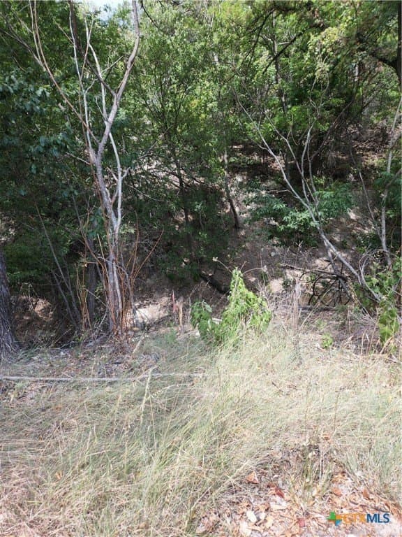 0.38 acres in Bell County - photo 2