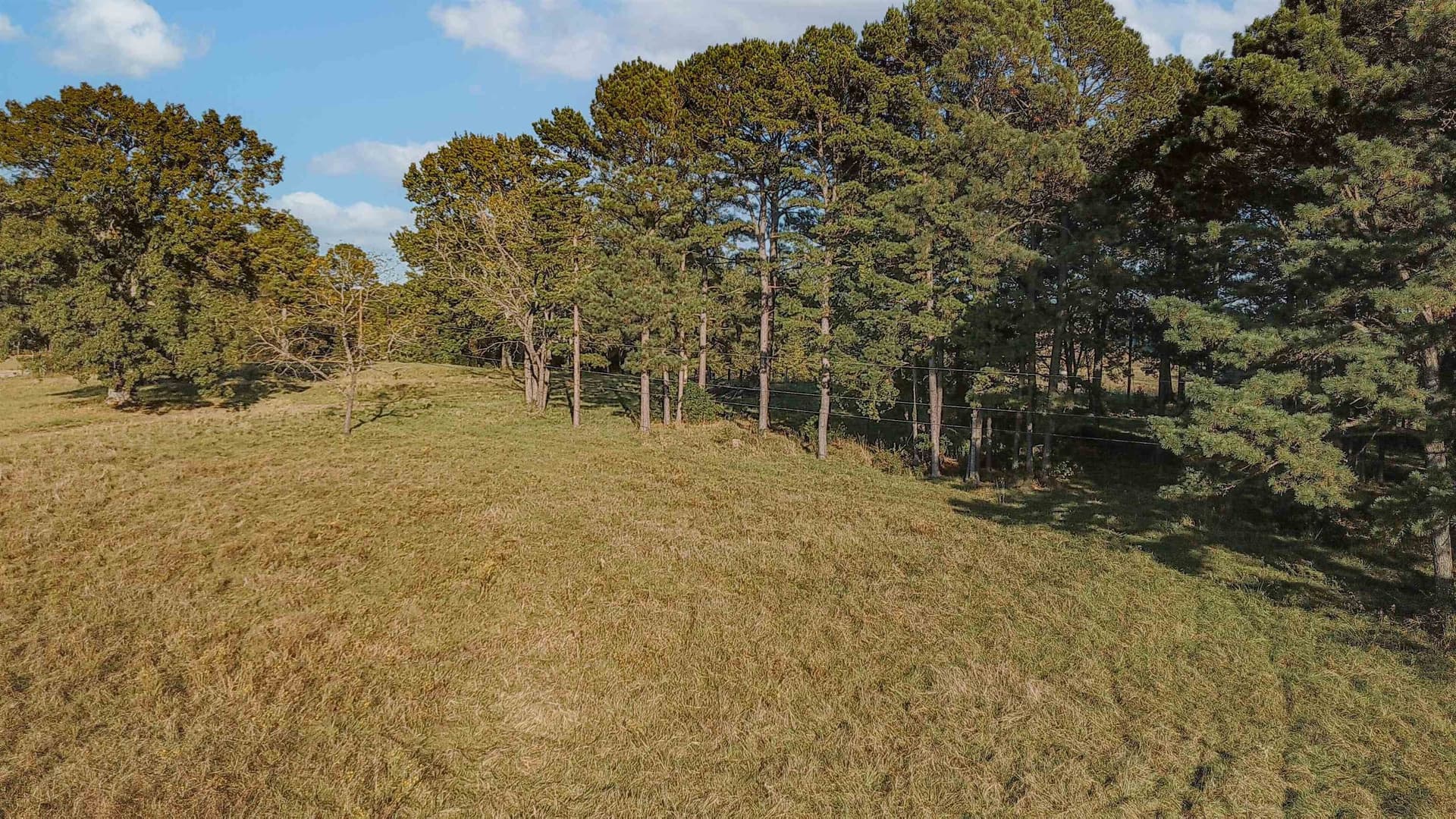6.91 acres in Texas County featured view