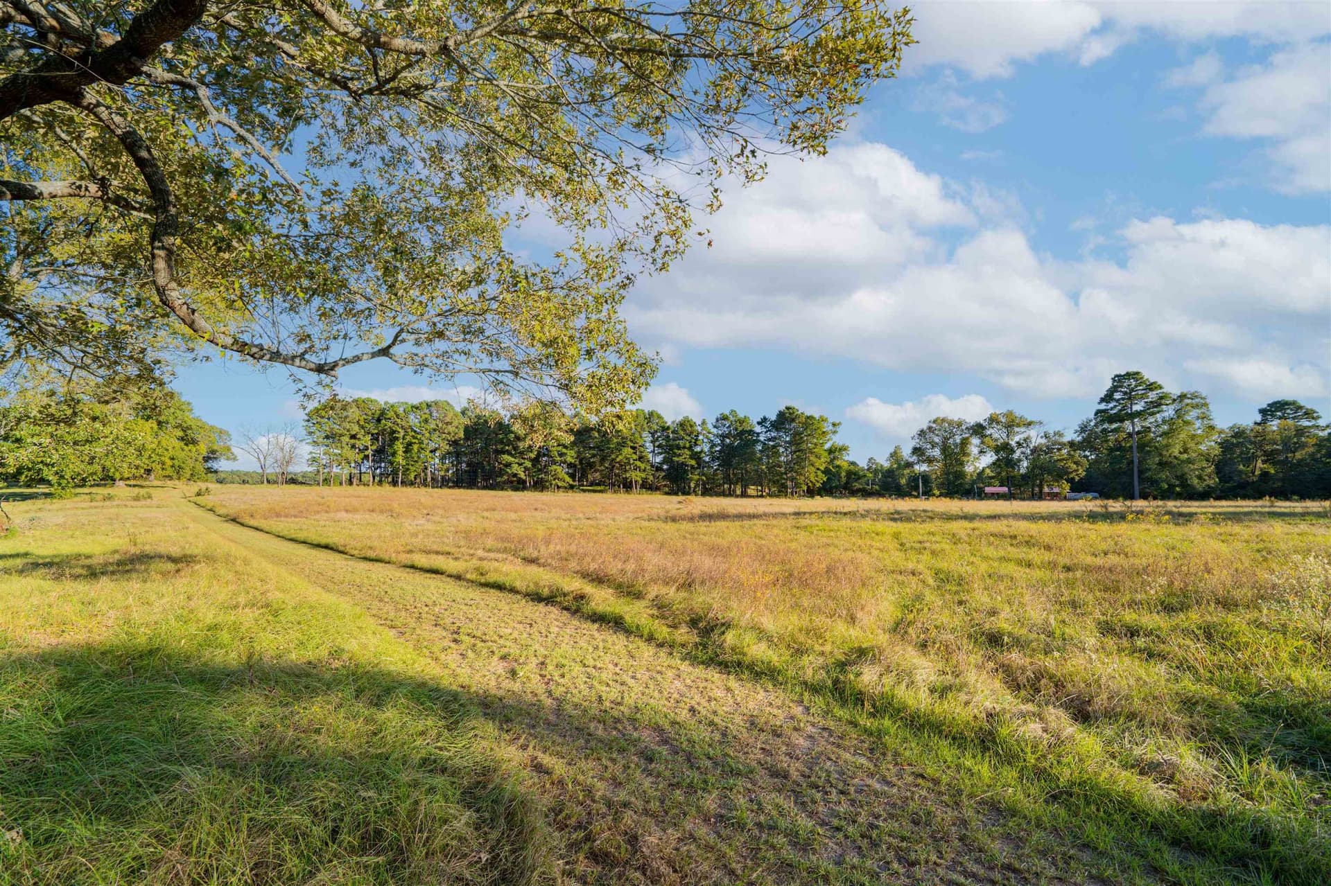 6.91 acres in Texas County - photo 6