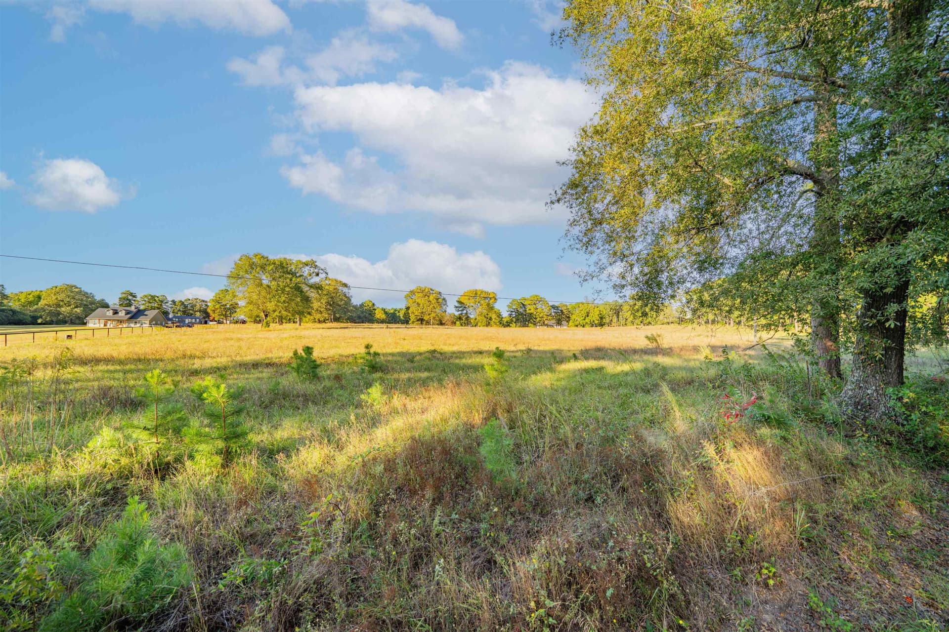 6.91 acres in Texas County