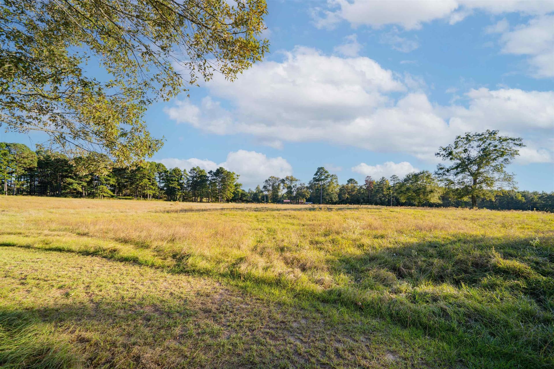 6.91 acres in Texas County - photo 7