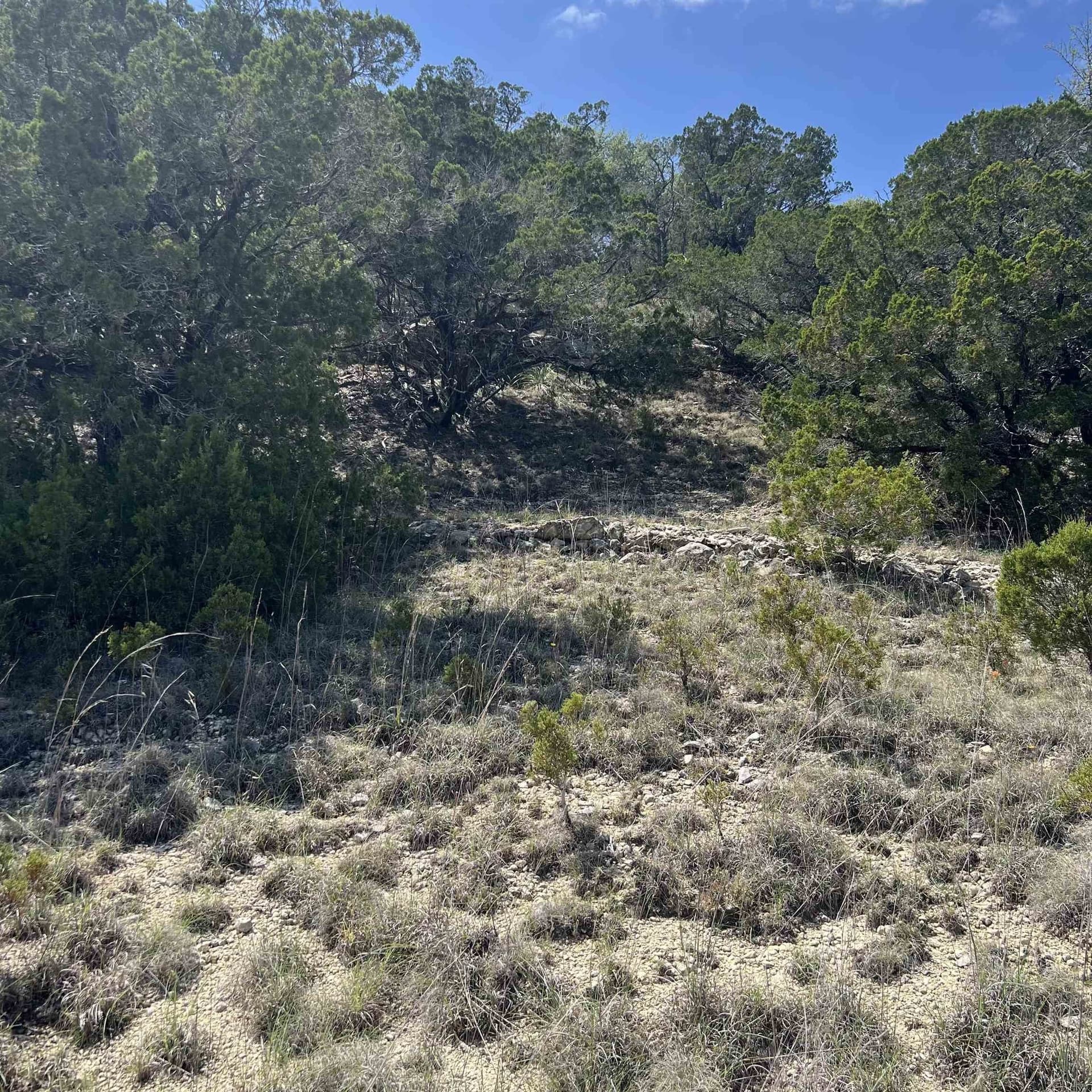 0.44 acres in Travis County gallery image 4