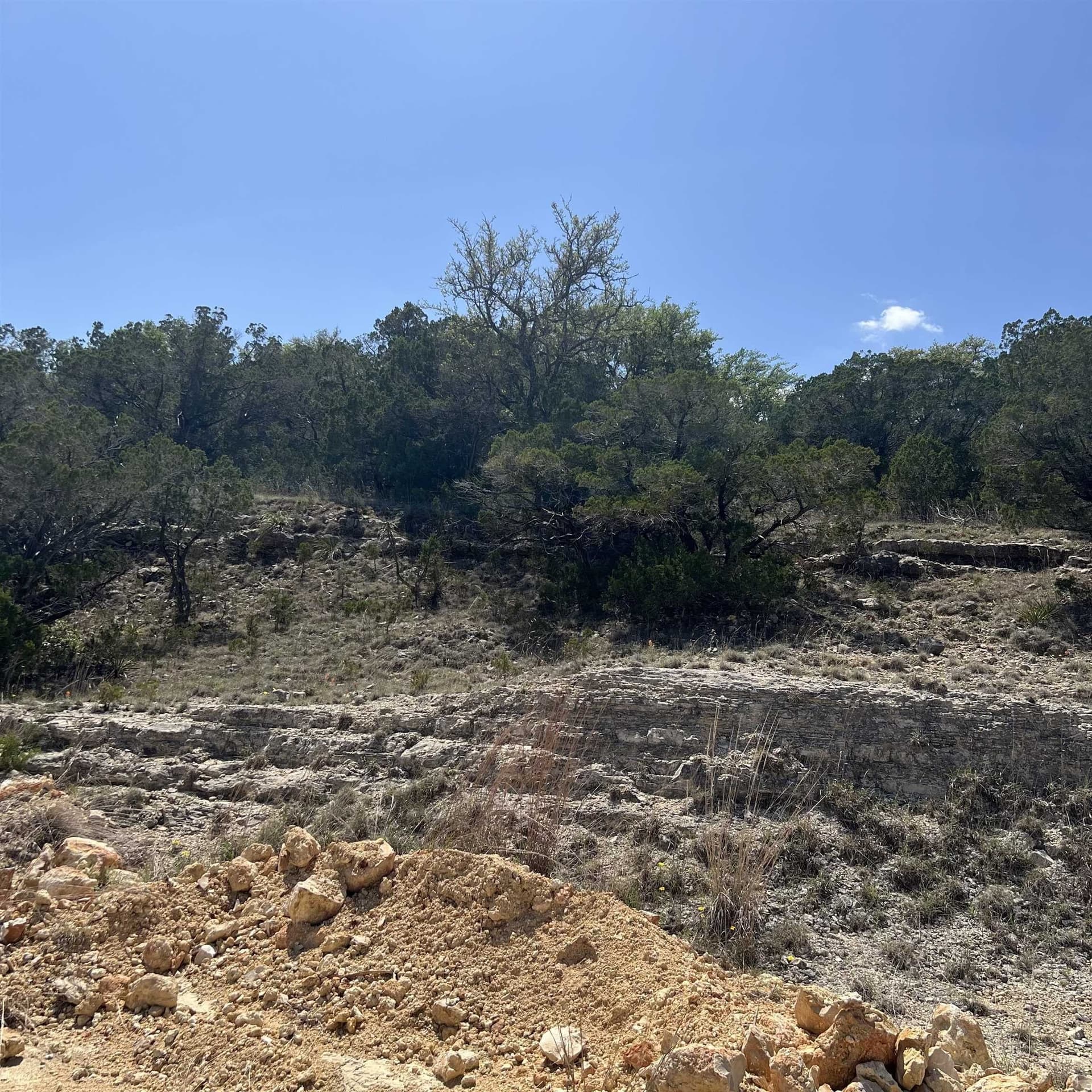 0.44 acres in Travis County gallery image 2