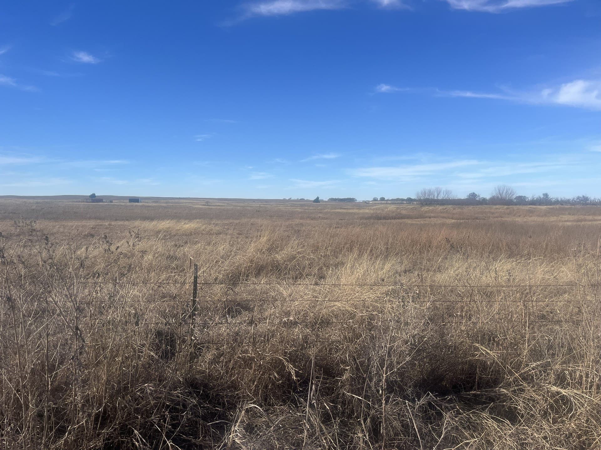 25 acres in Clay County - photo 10