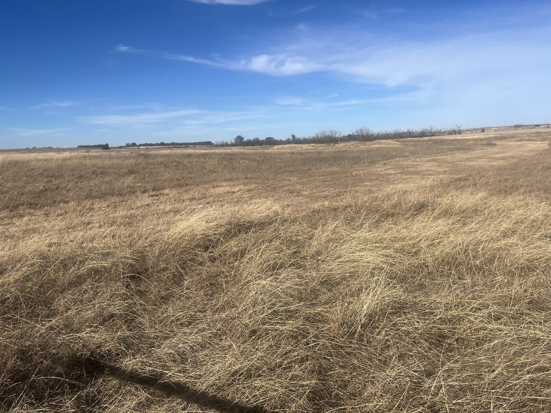 25 acres in Clay County - photo 9