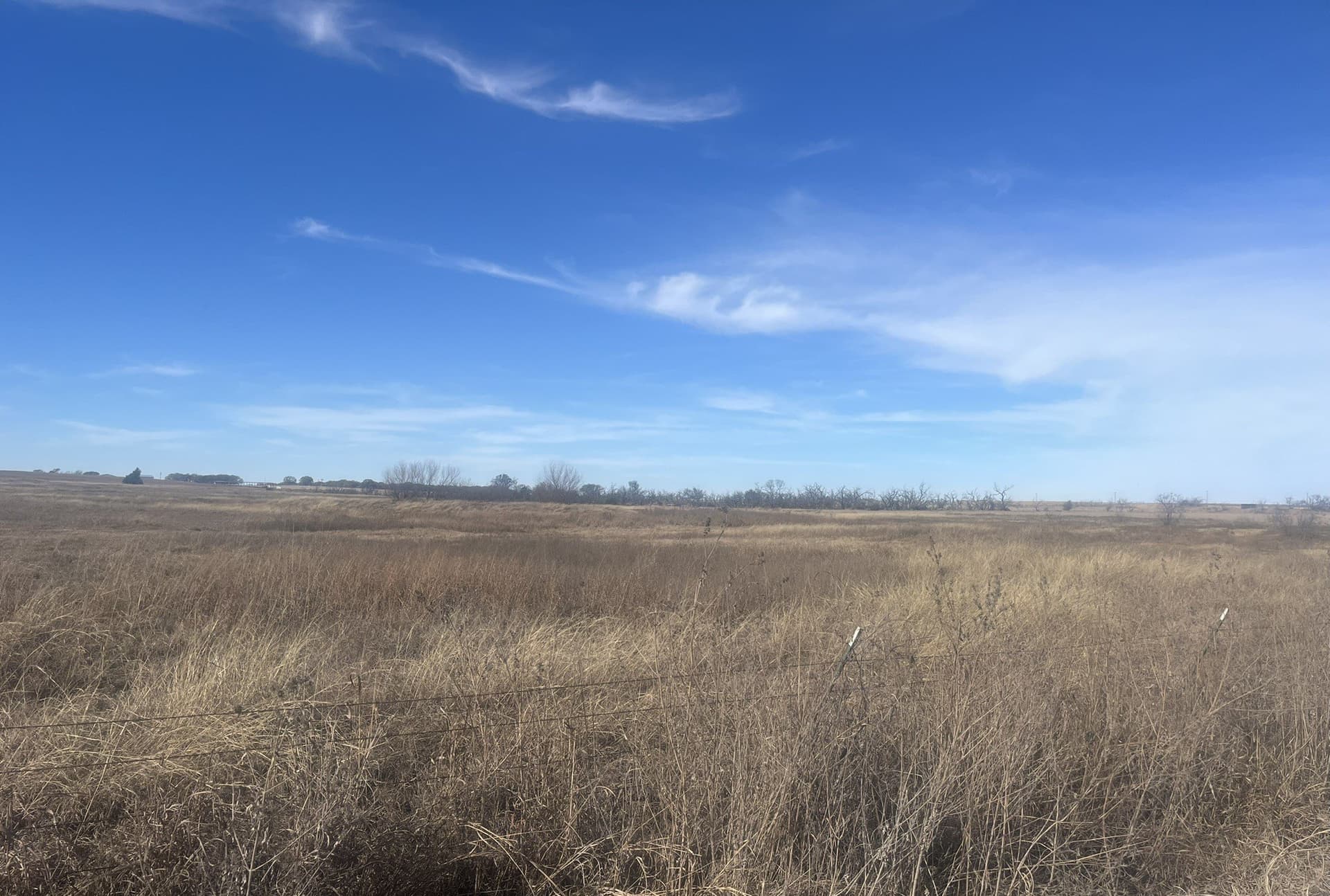 25 acres in Clay County - photo 11