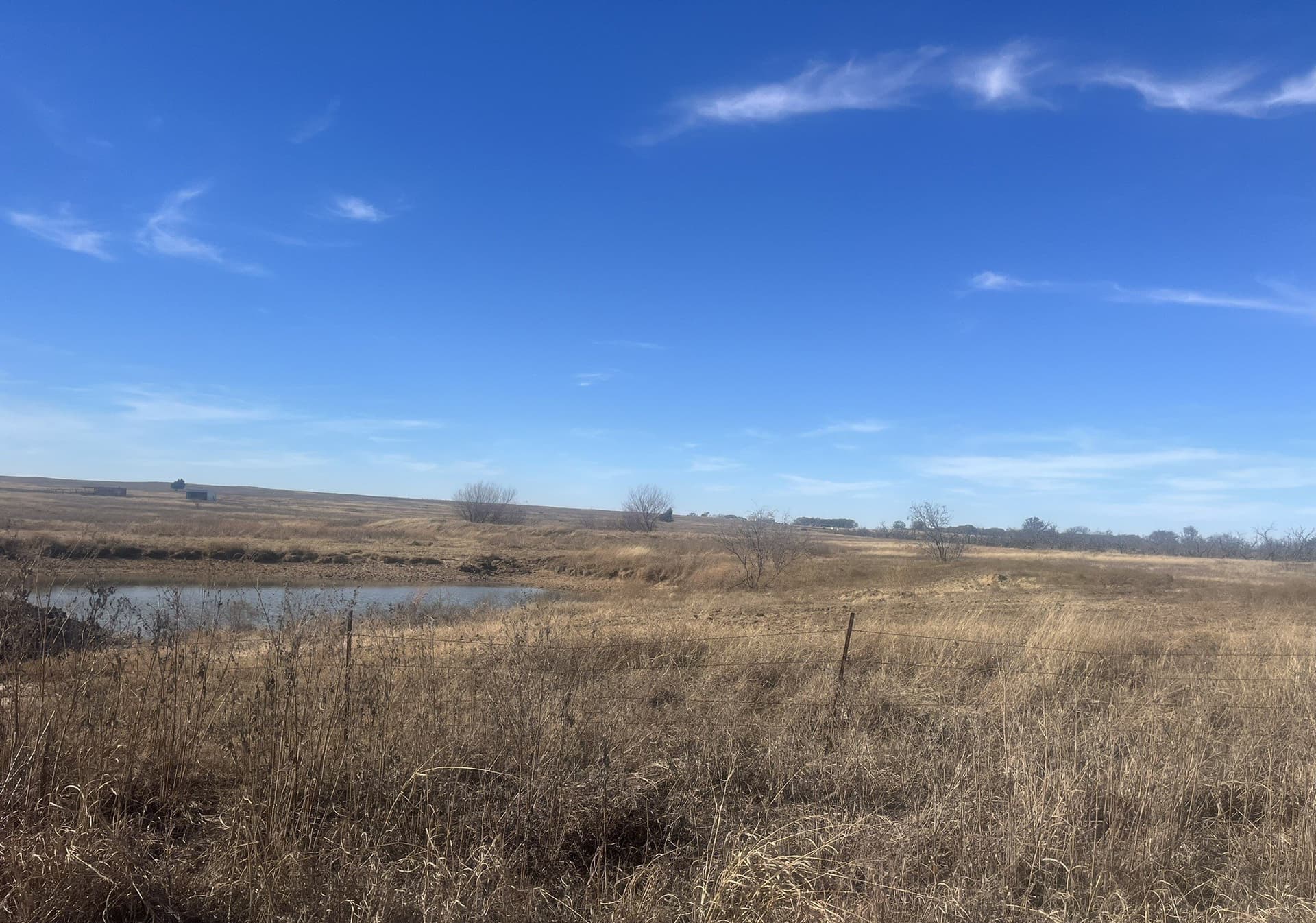 25 acres in Clay County - photo 13