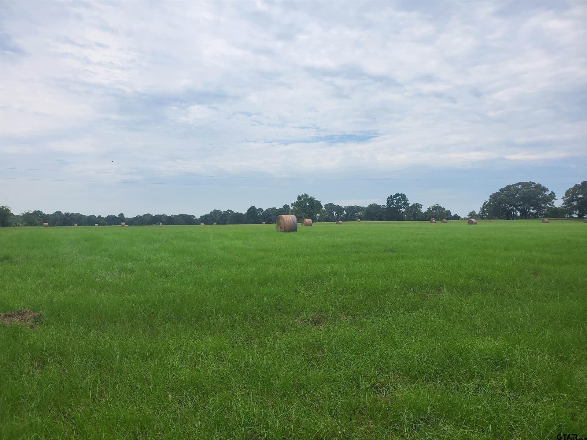 30 acres in Henderson County featured view
