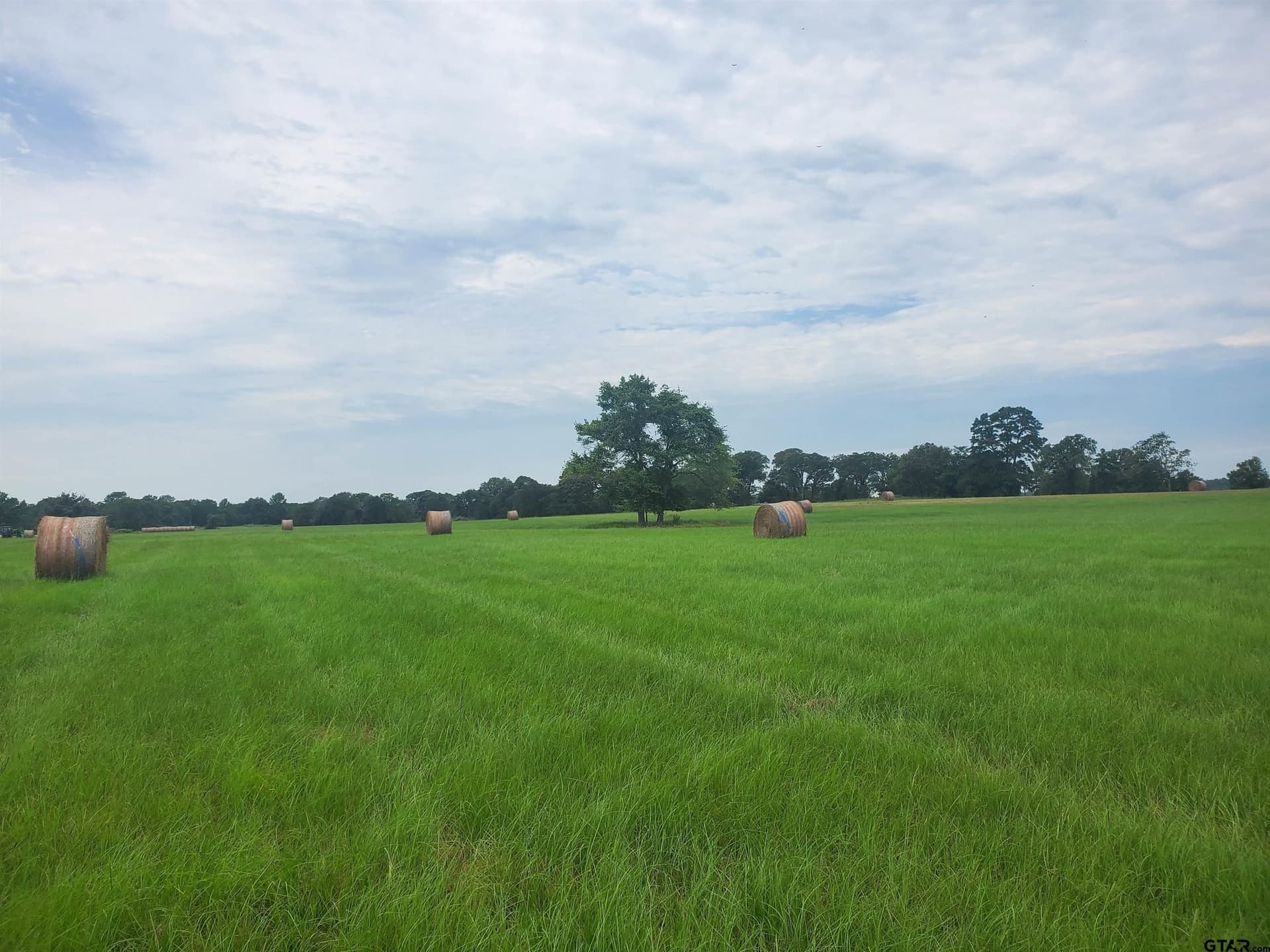 30 acres in Henderson County gallery image 2