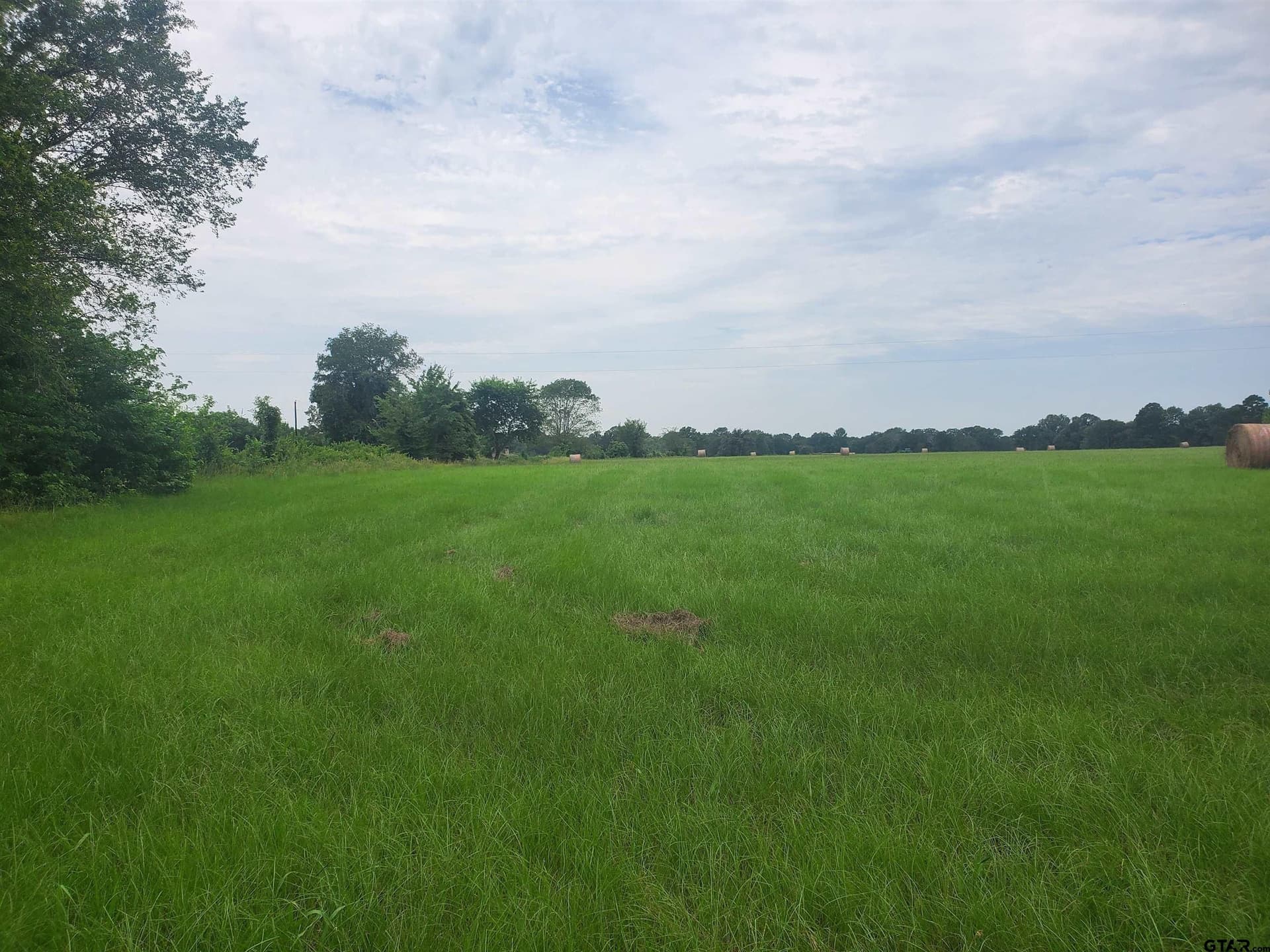 30 acres in Henderson County gallery image 3