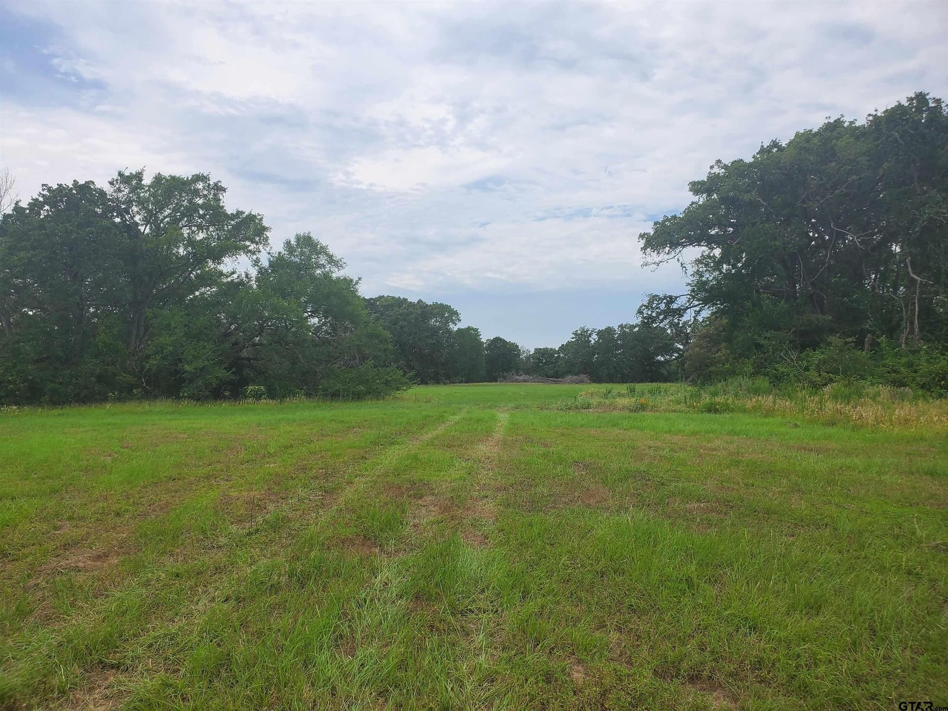 30 acres in Henderson County