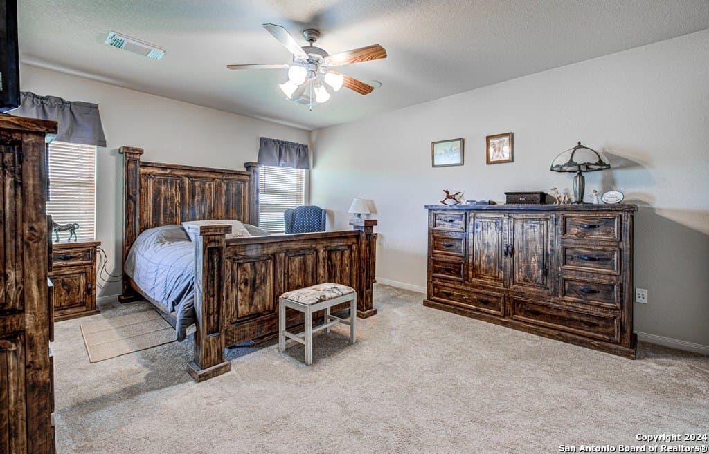 20 acres in Guadalupe County - photo 33