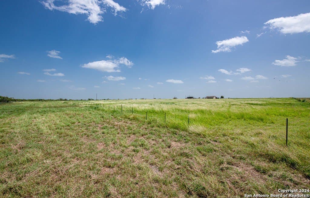 20 acres in Guadalupe County - photo 8