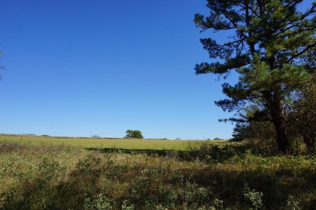 23 acres in Morris County - photo 19