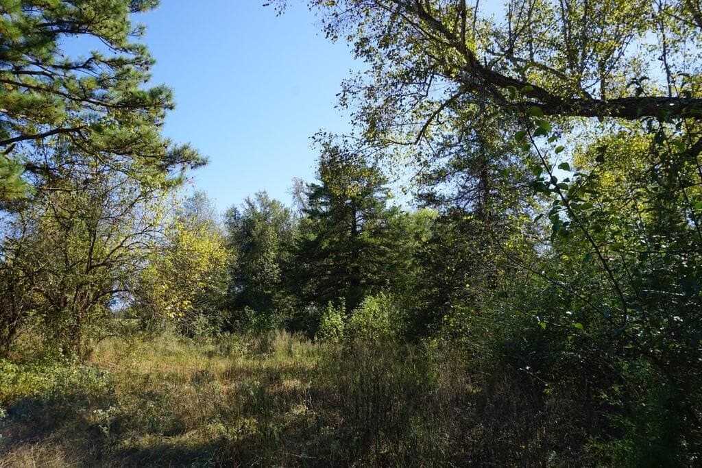 23 acres in Morris County - photo 20