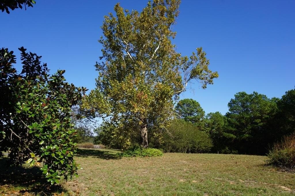 23 acres in Morris County - photo 6