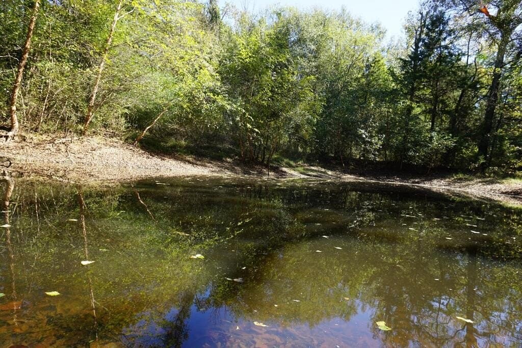 23 acres in Morris County - photo 21