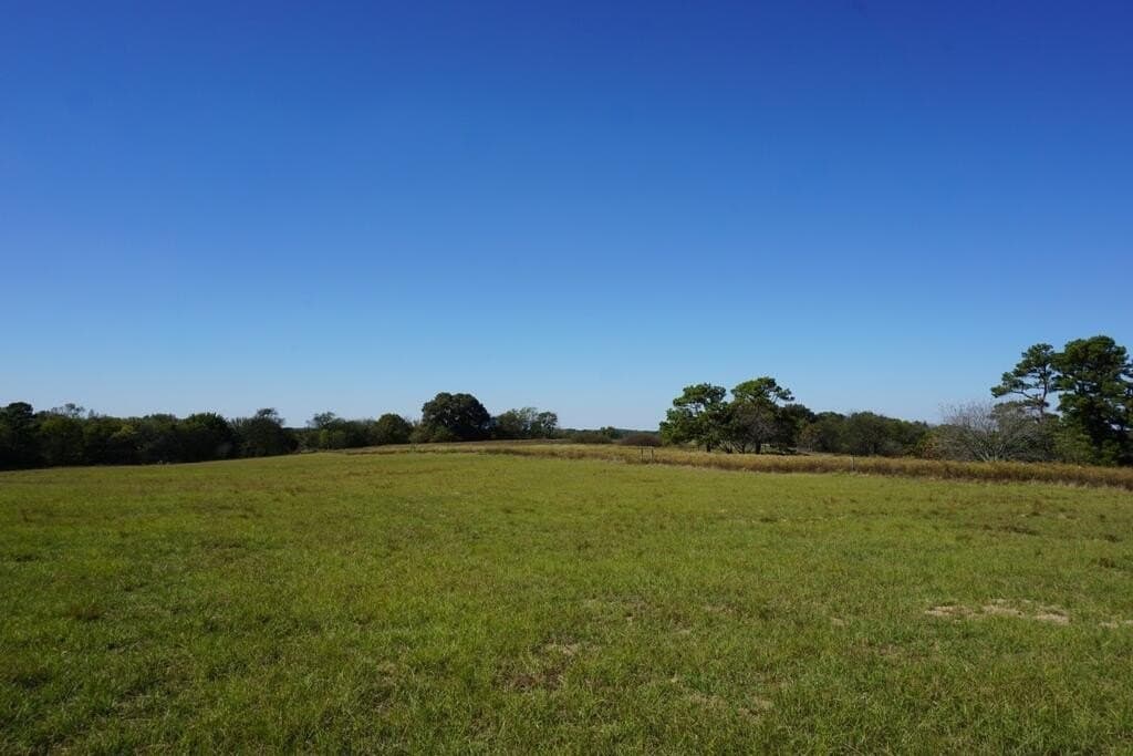 23 acres in Morris County - photo 23