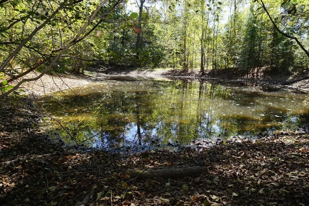 23 acres in Morris County - photo 12