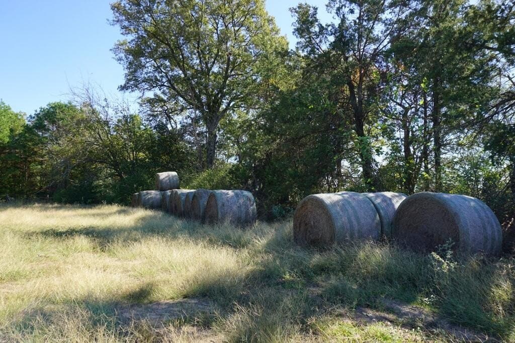 23 acres in Morris County - photo 11