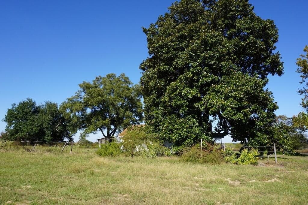 23 acres in Morris County - photo 7
