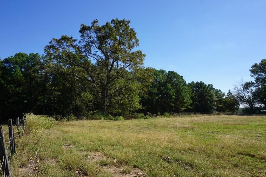 23 acres in Morris County - photo 5