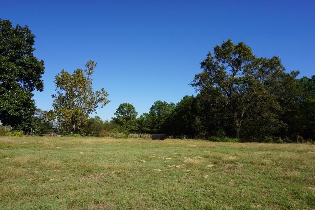 23 acres in Morris County - photo 10