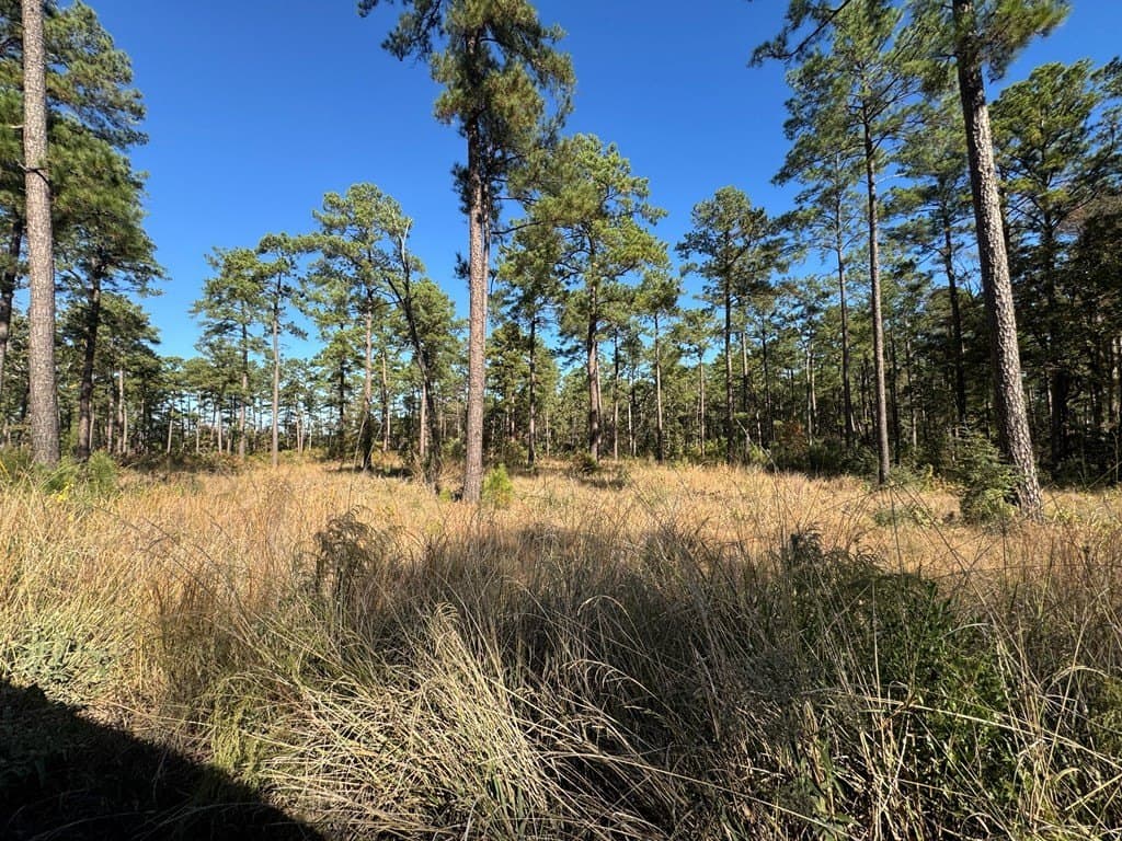 1.12 acres in Texas County - photo 8
