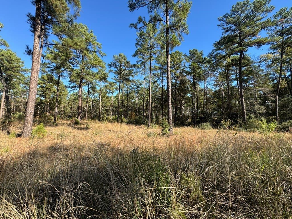 1.12 acres in Texas County - photo 9