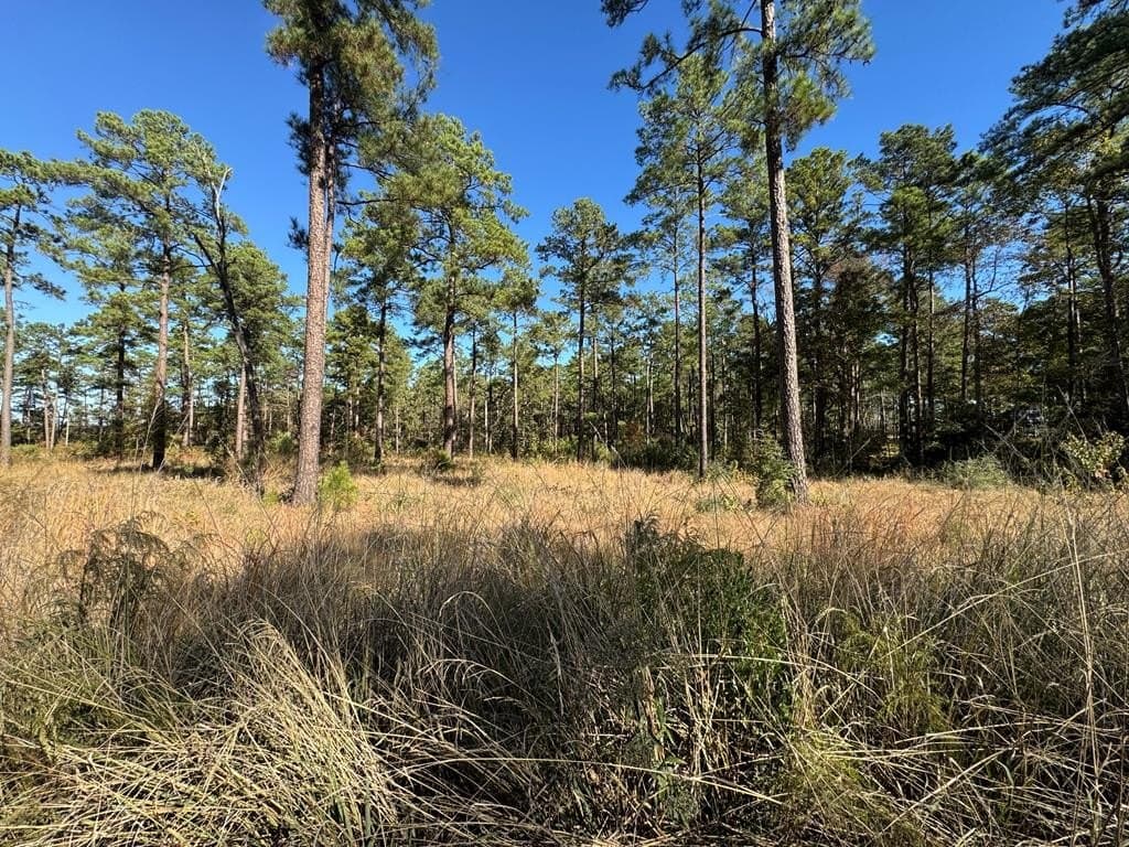 1.12 acres in Texas County