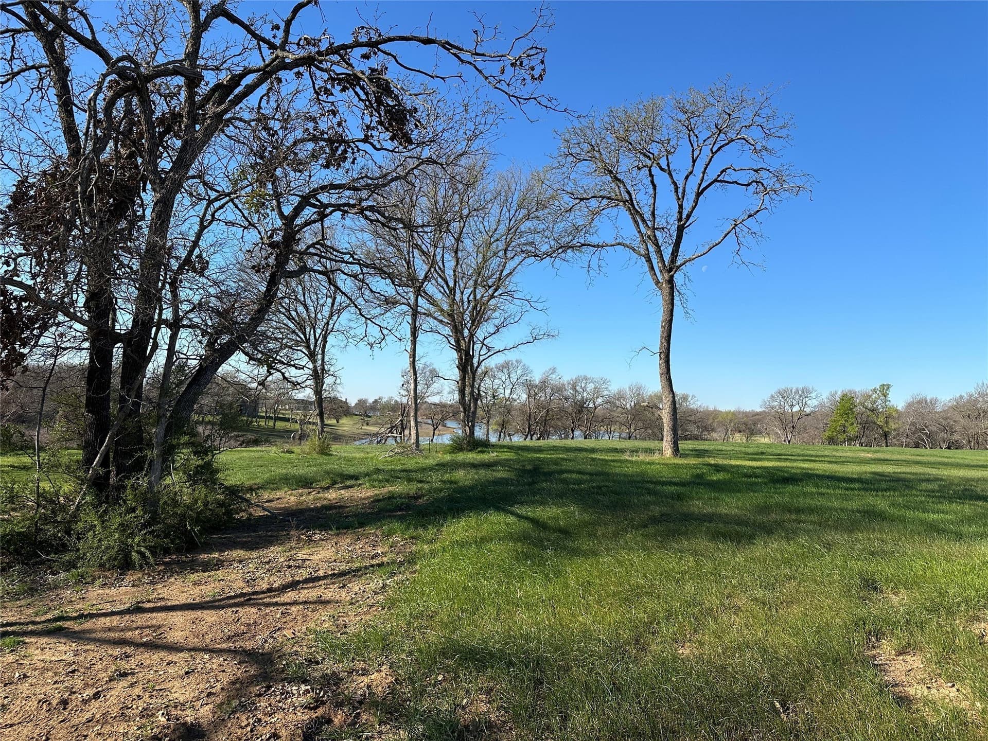 0.55 acres in Denton County gallery image 3